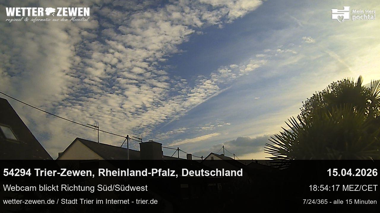 Bild