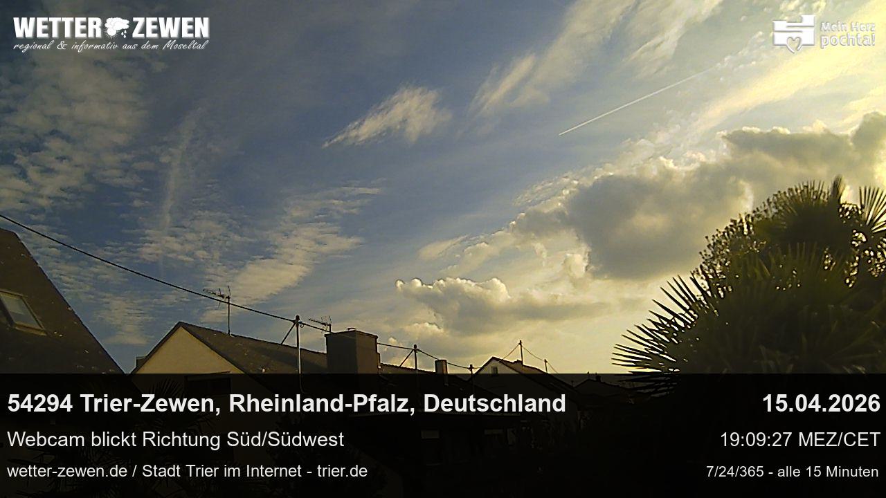 Bild