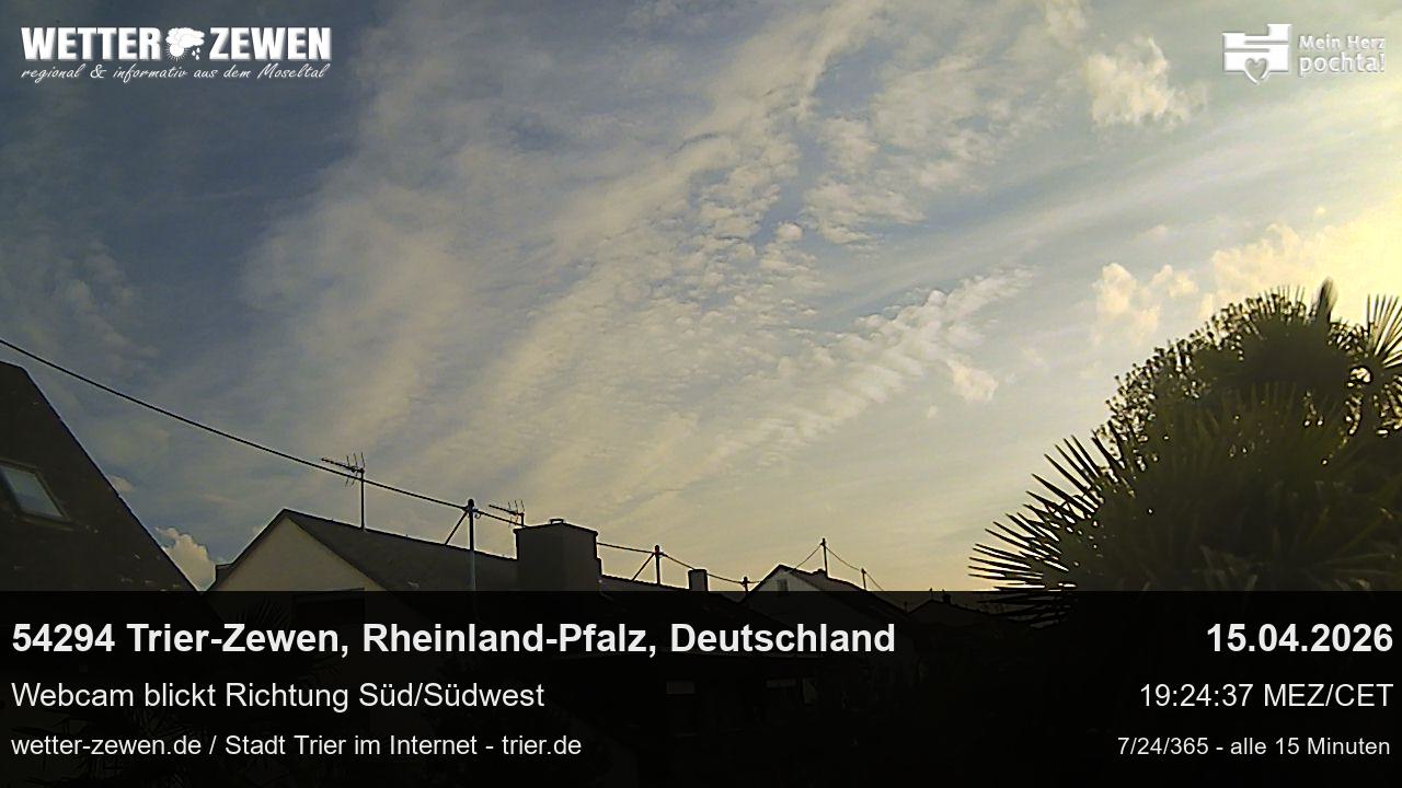 Bild