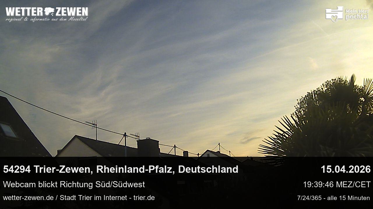 Bild