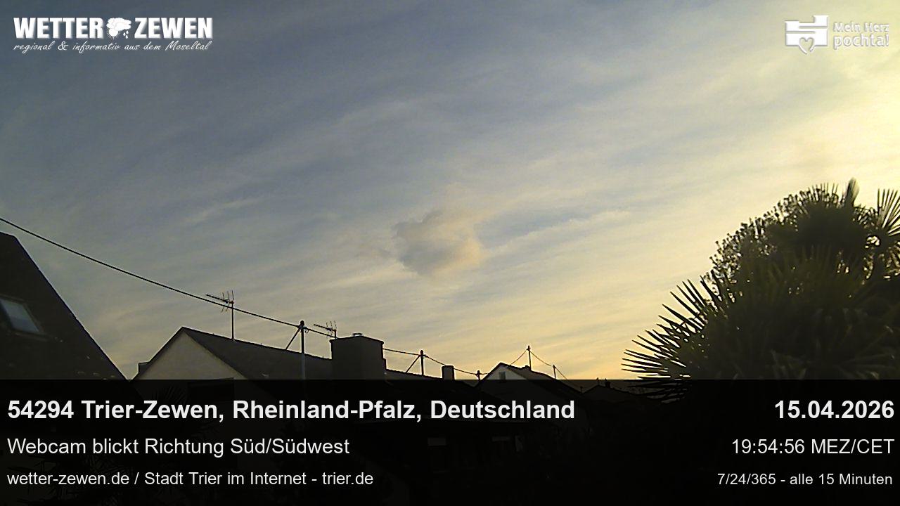Bild