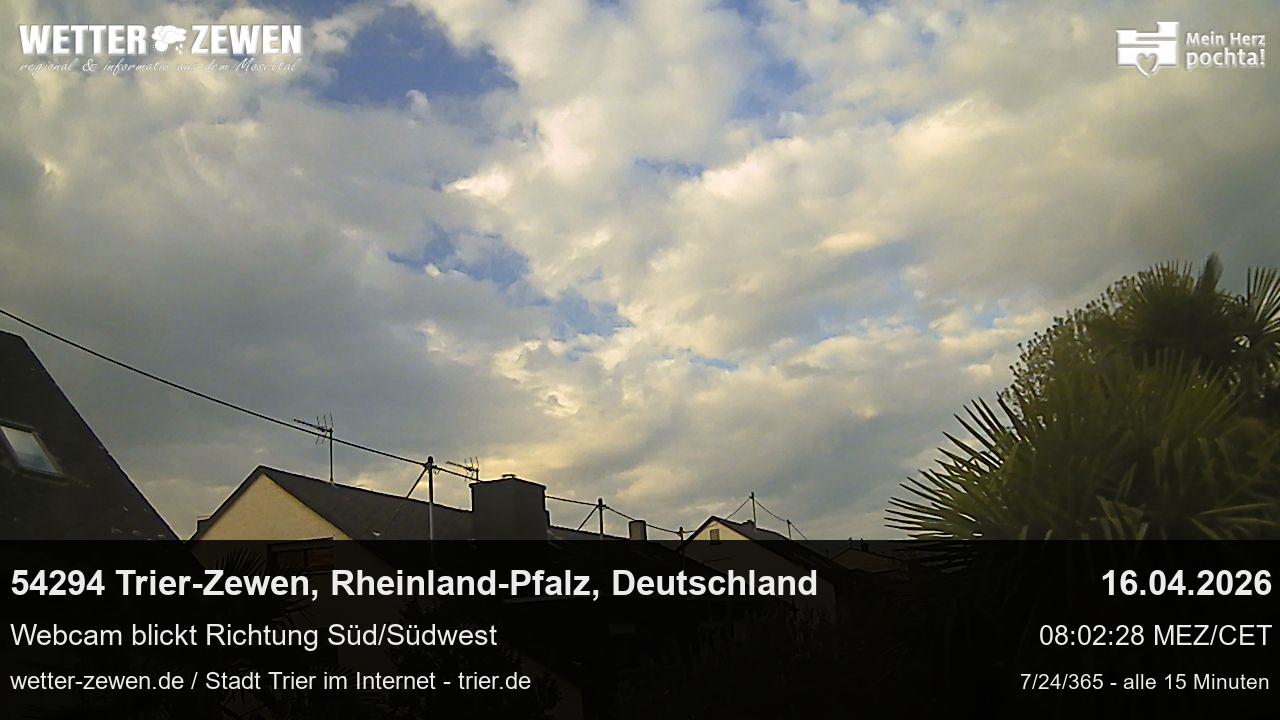 Bild
