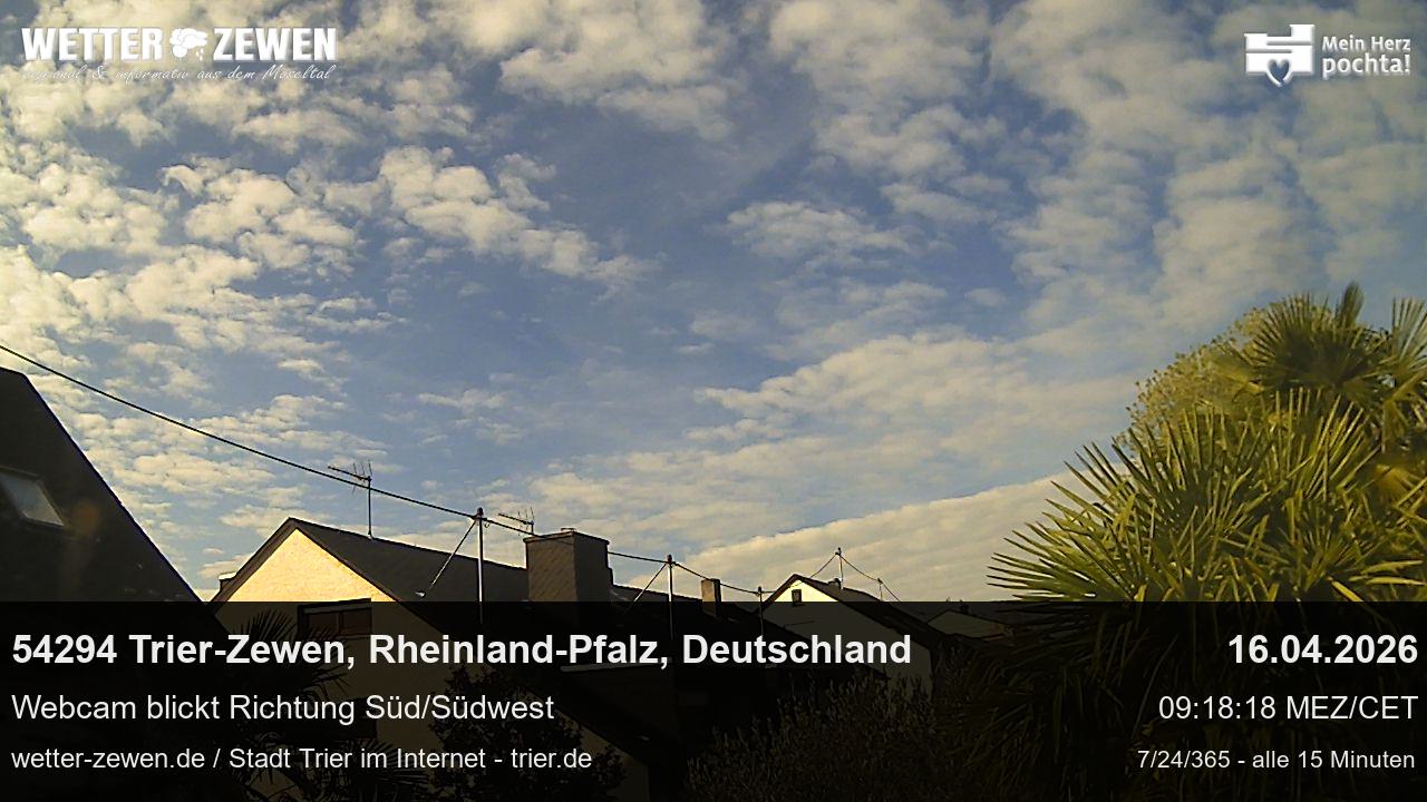 Bild