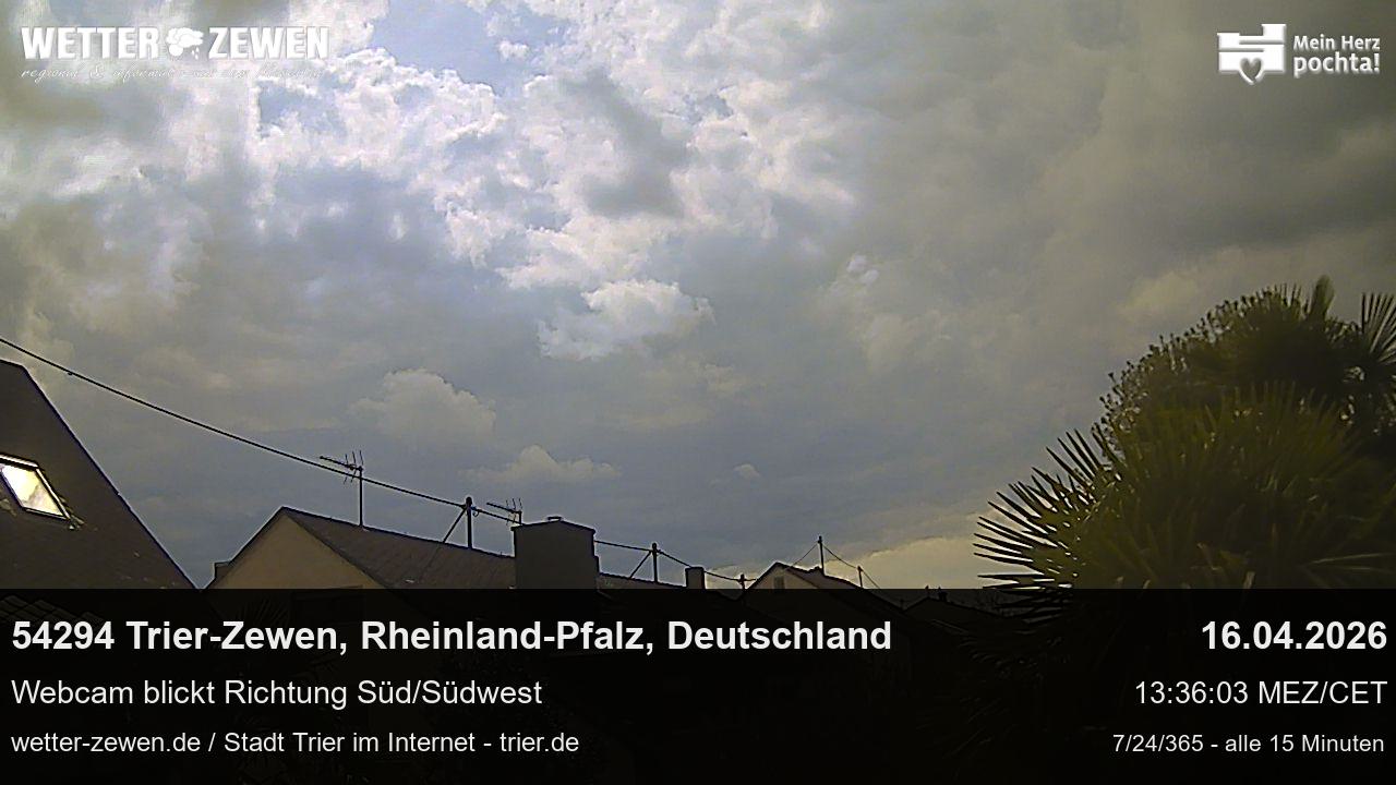 Bild