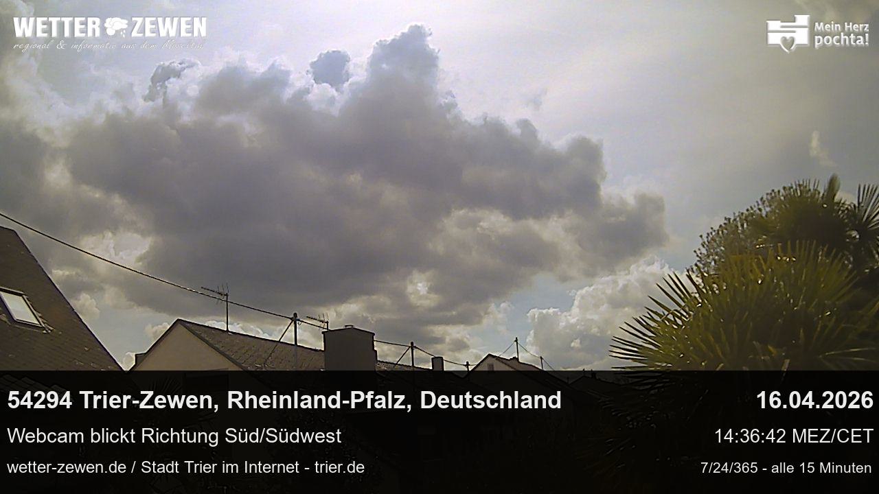 Bild