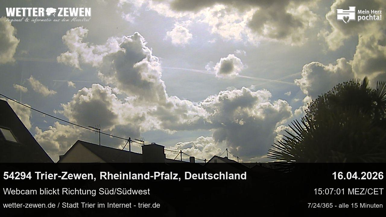 Bild