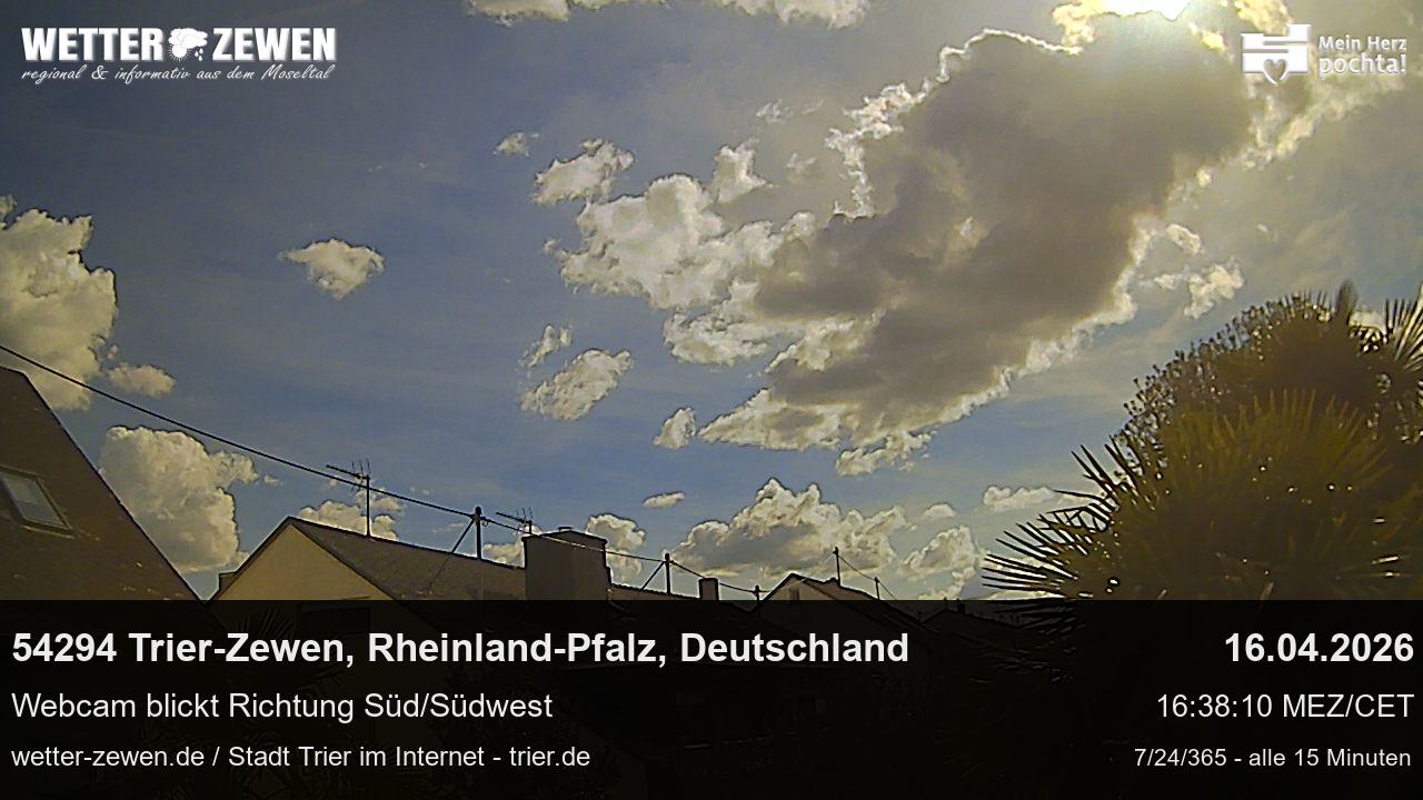 Bild