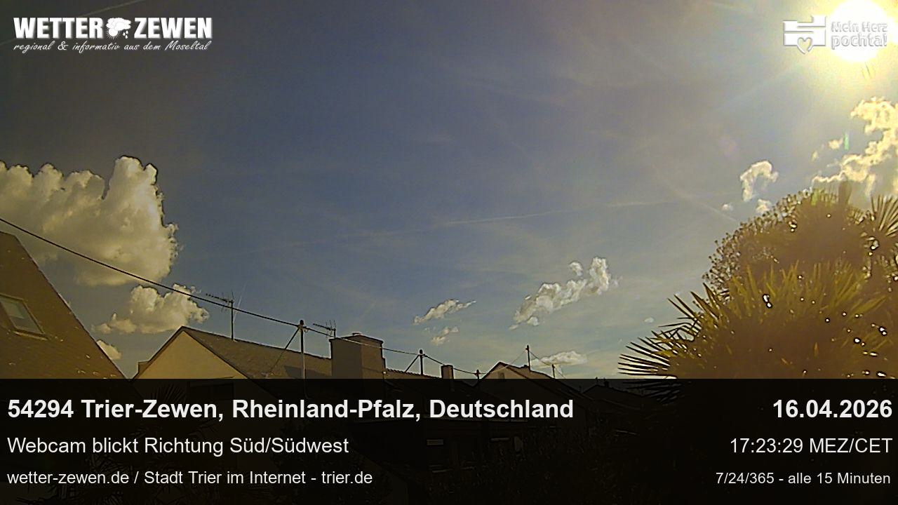 Bild