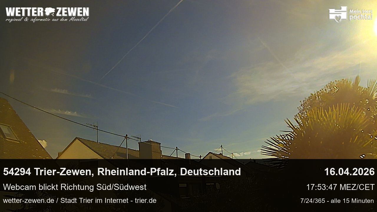 Bild