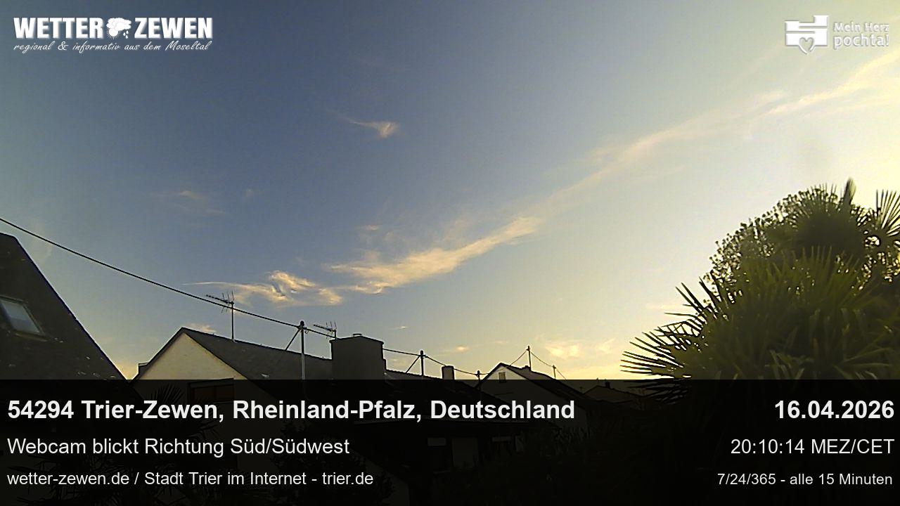 Bild