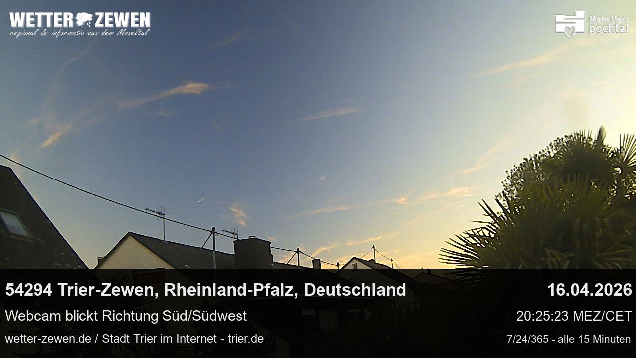 Bild