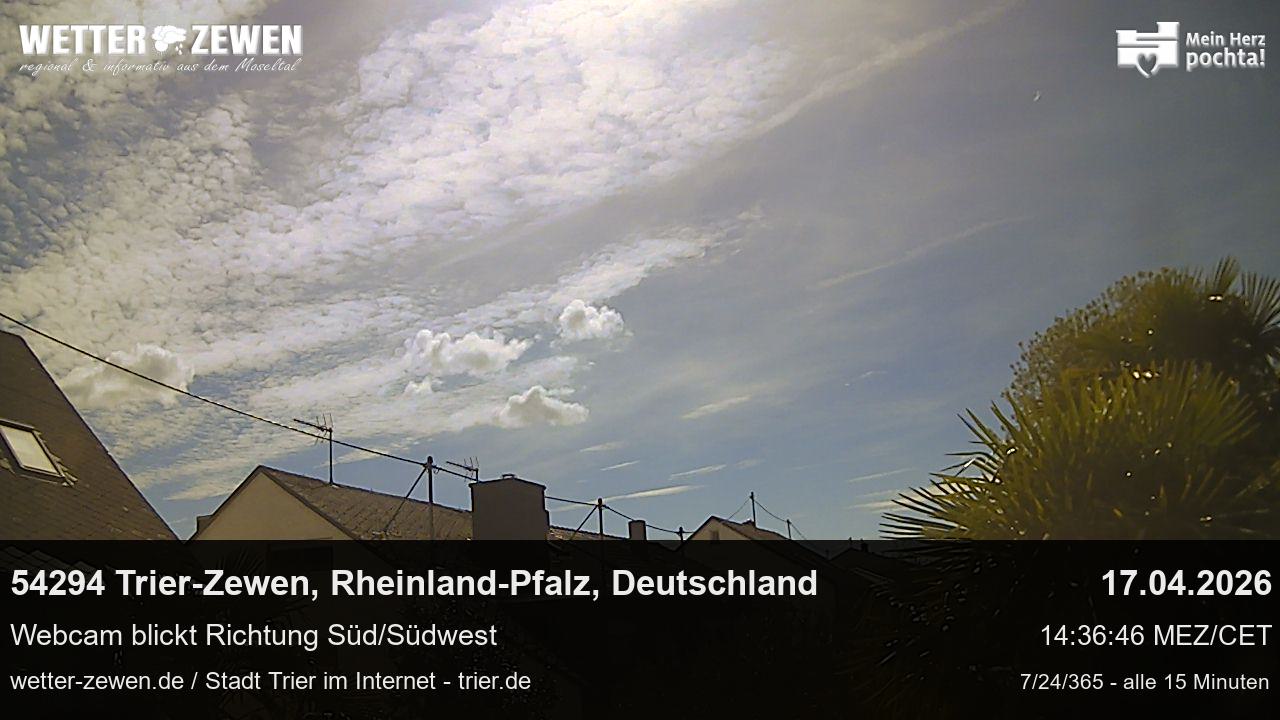 Bild