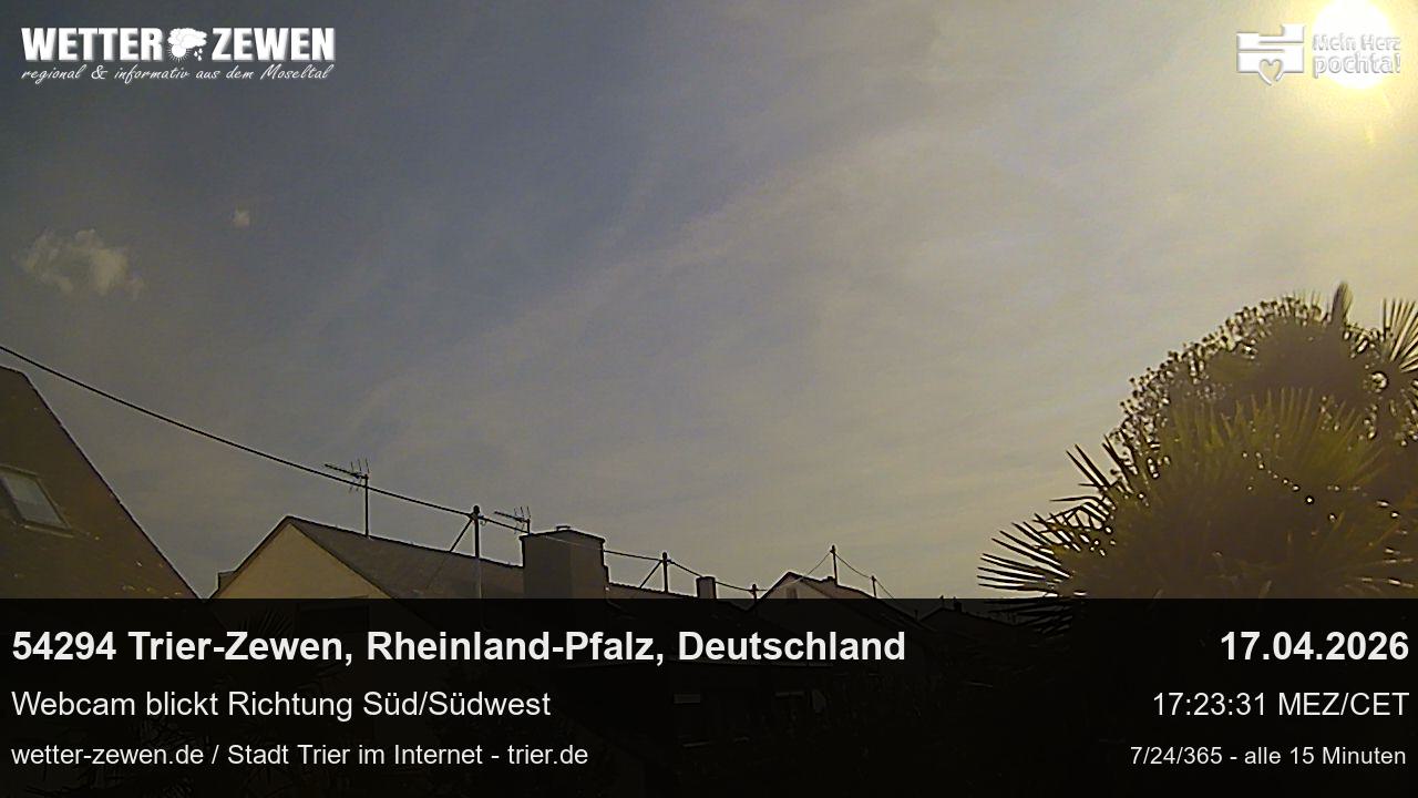 Bild