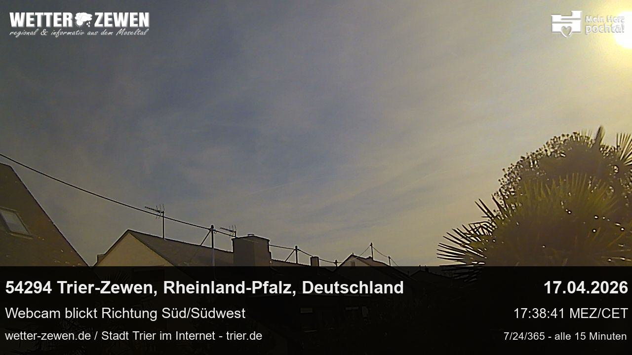 Bild