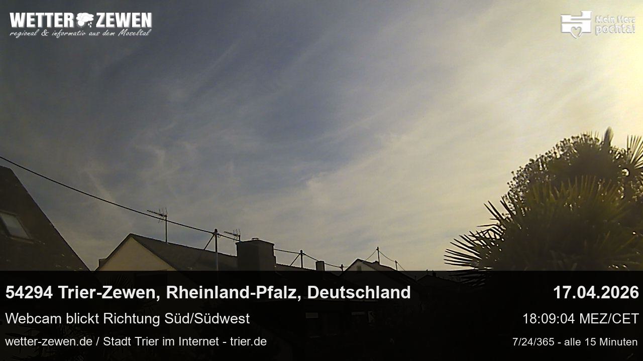 Bild