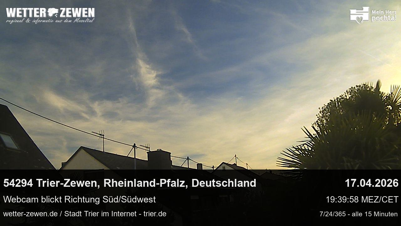 Bild