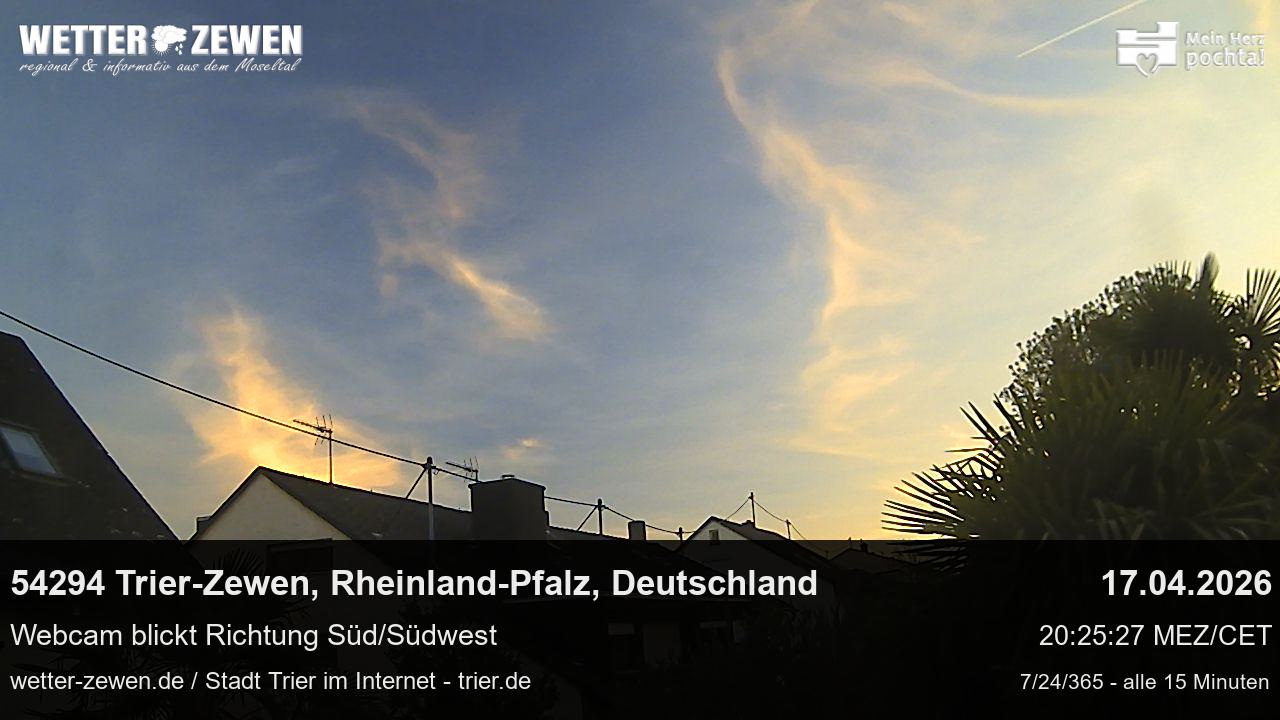 Bild