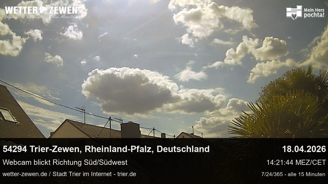 Bild