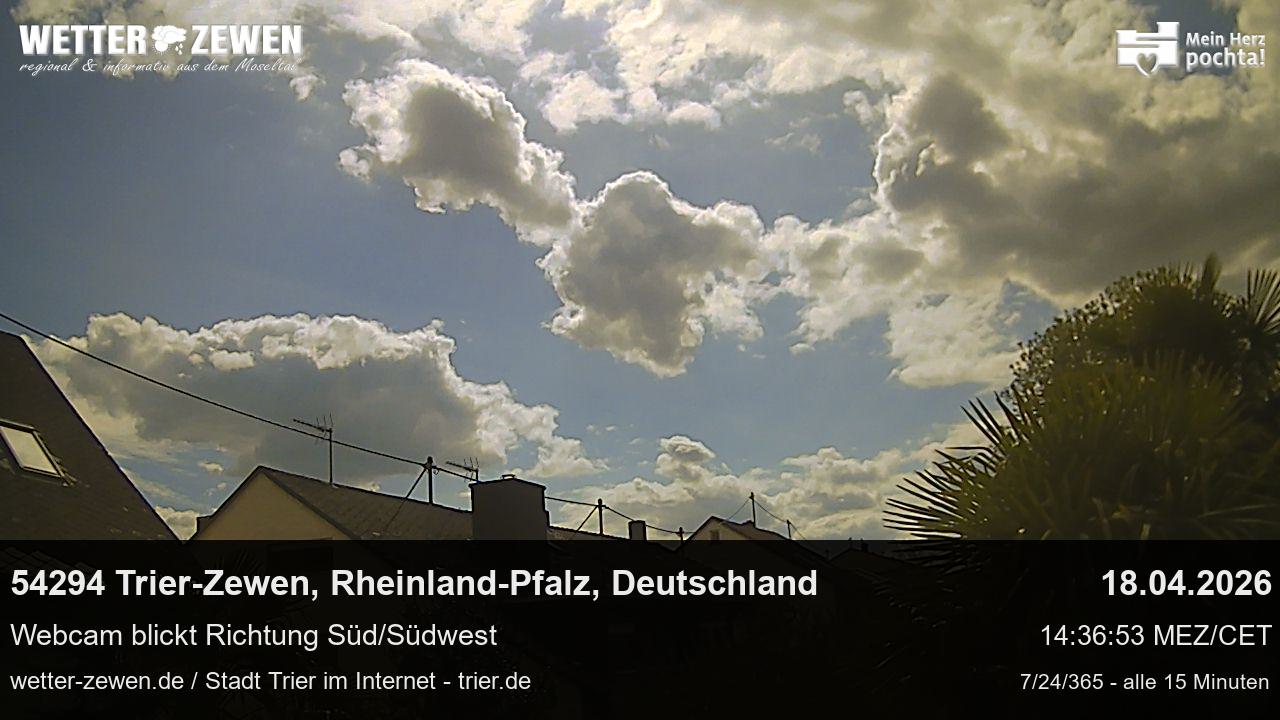 Bild
