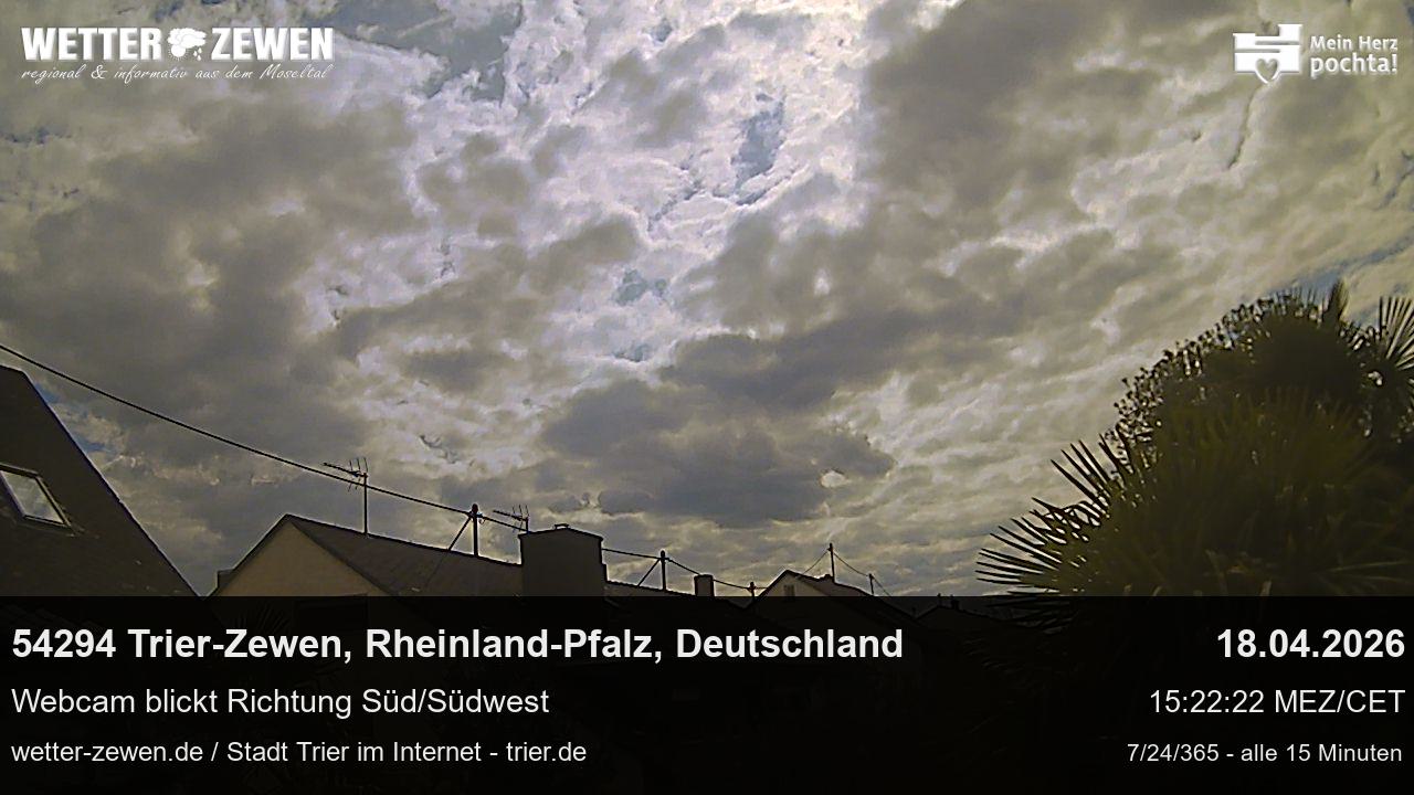 Bild