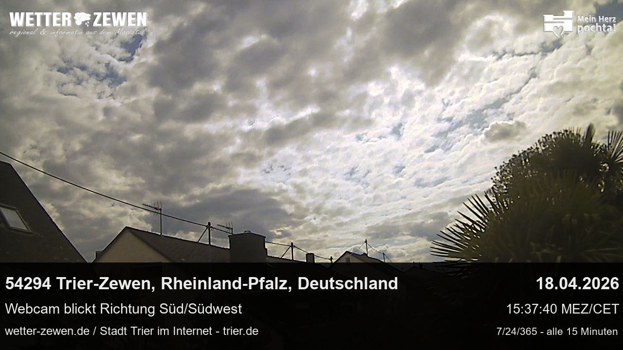 Bild