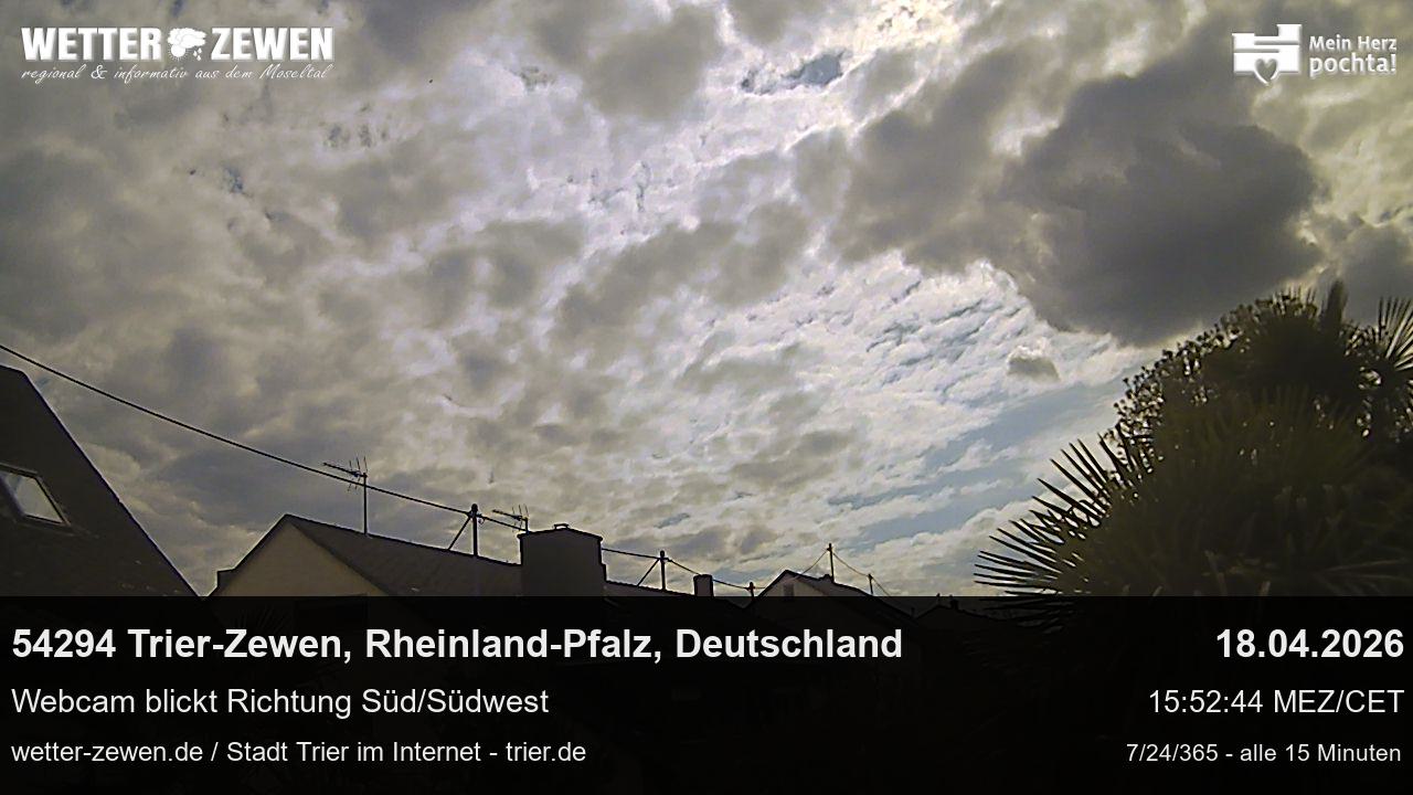 Bild