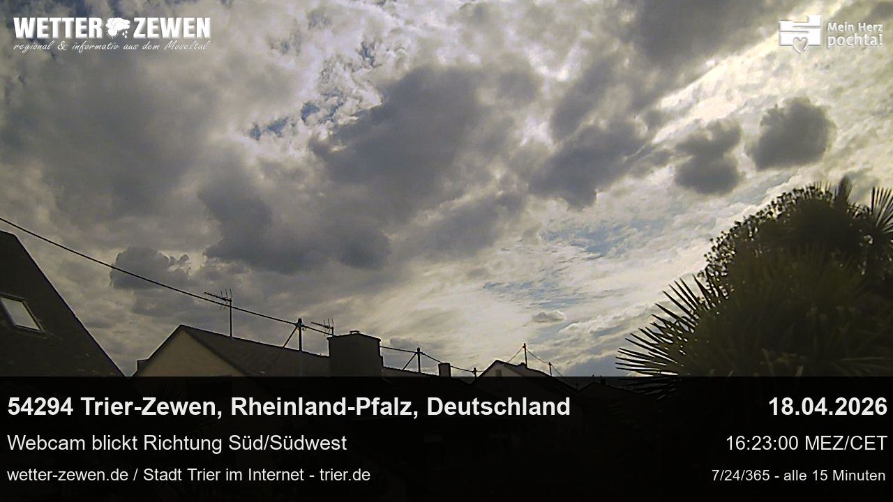 Bild