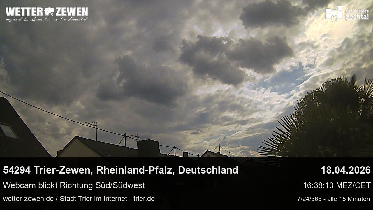 Bild