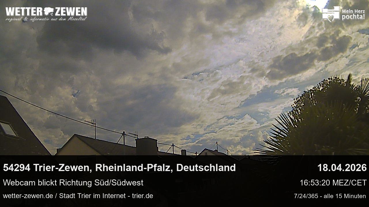 Bild