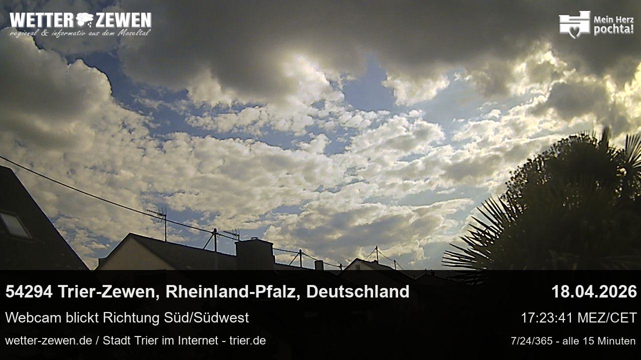 Bild