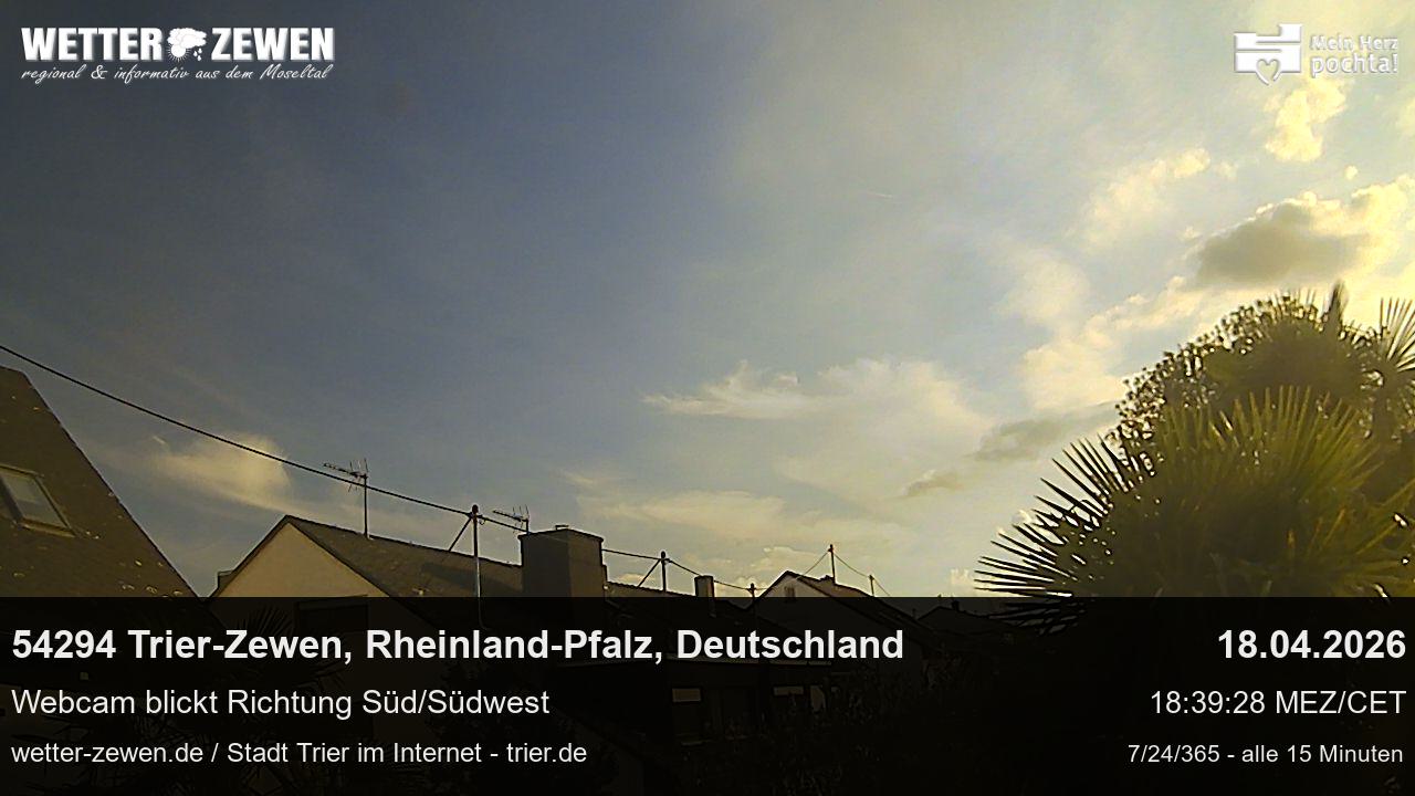 Bild