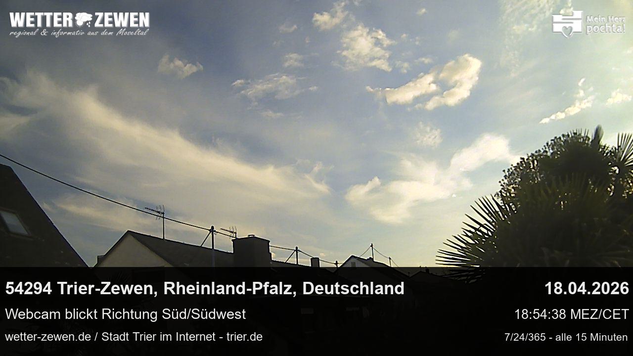 Bild