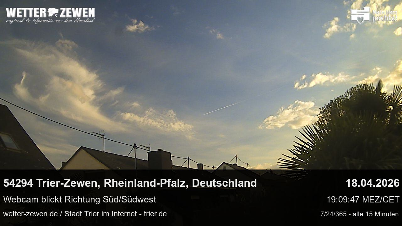 Bild