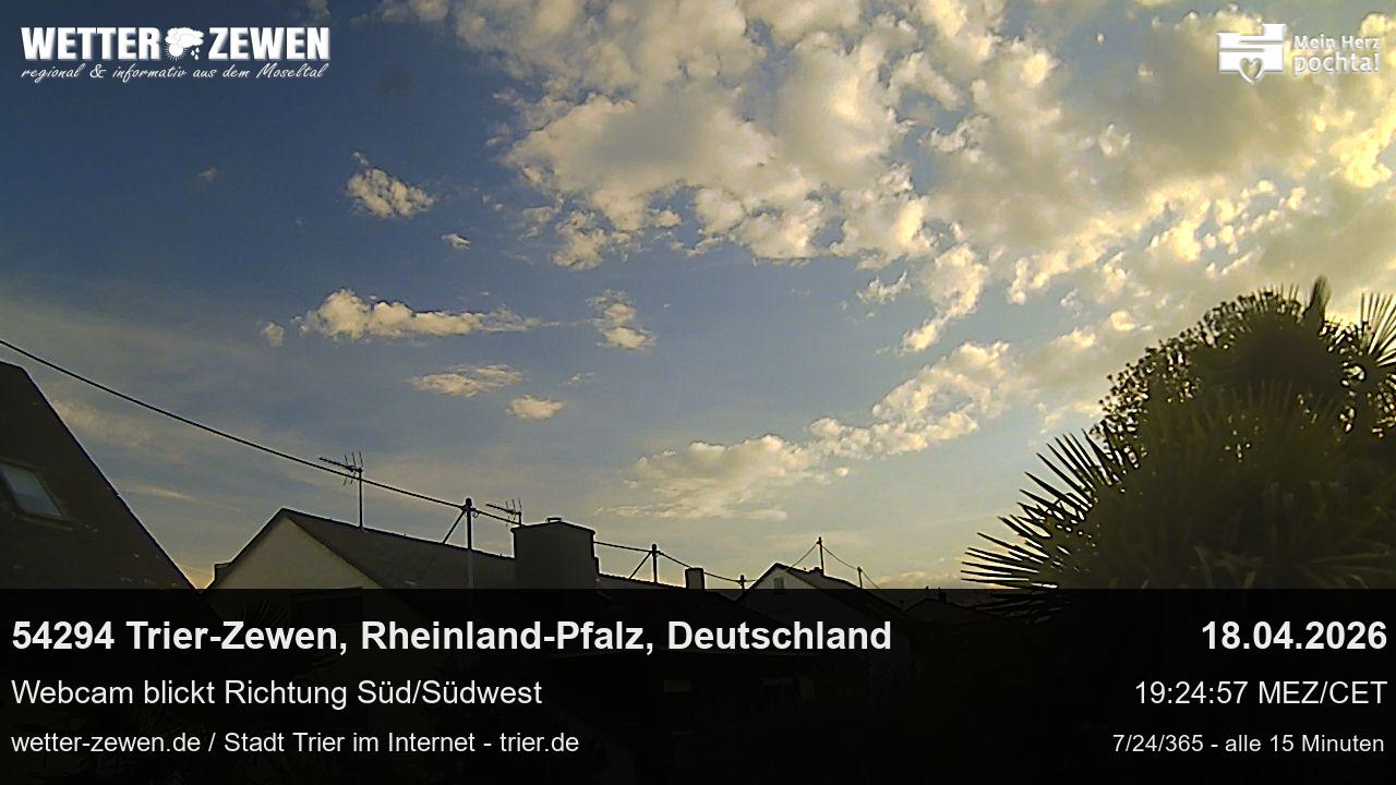 Bild