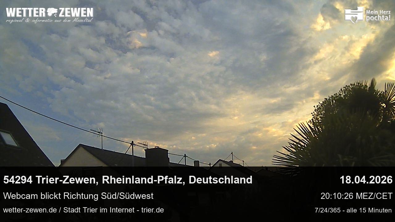 Bild
