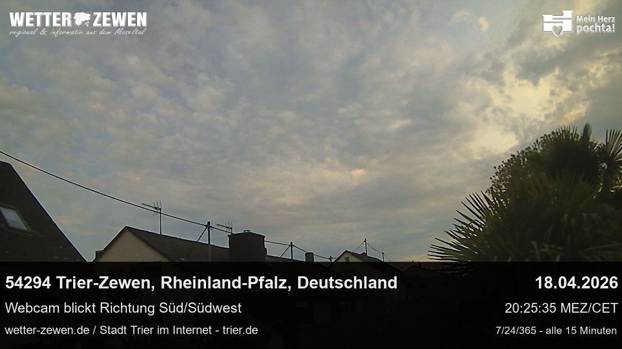 Bild