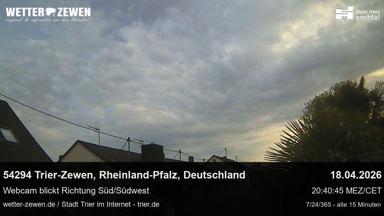 Bild