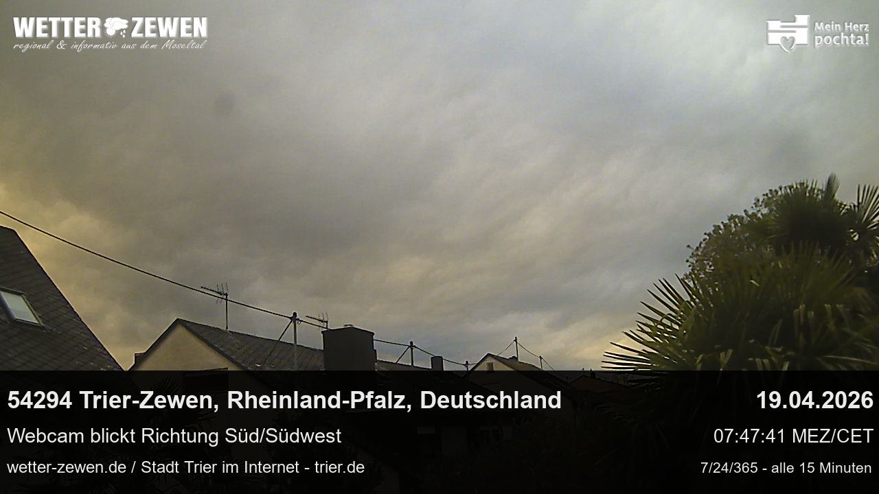 Bild