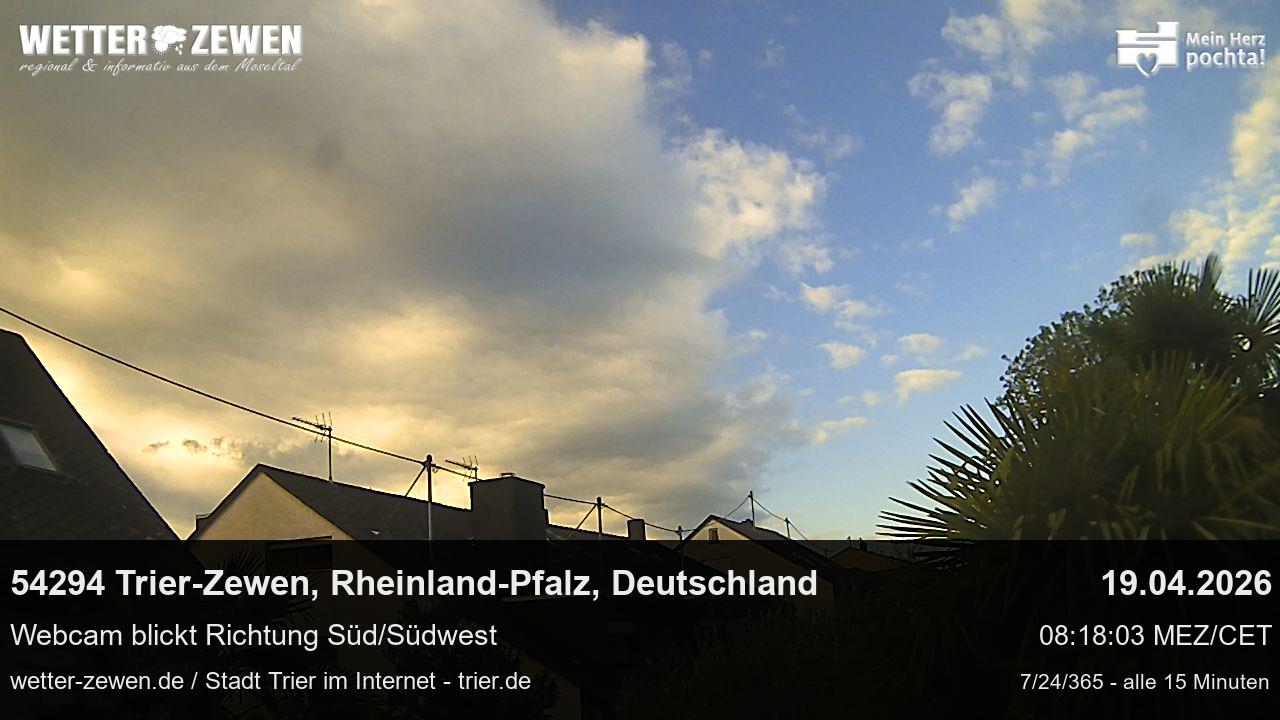 Bild