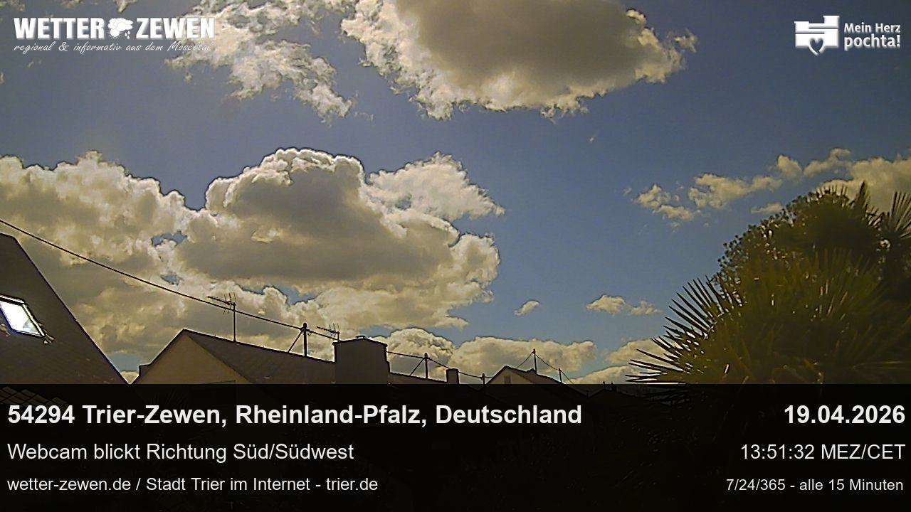 Bild