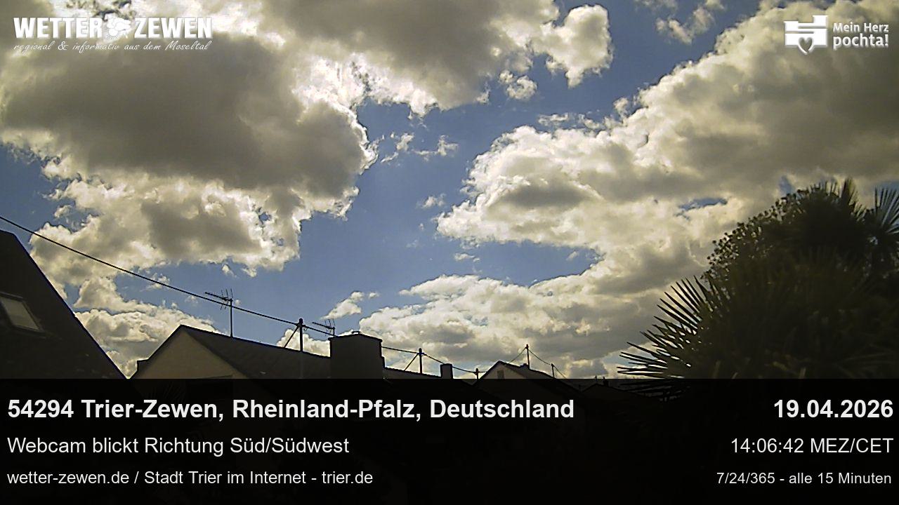 Bild