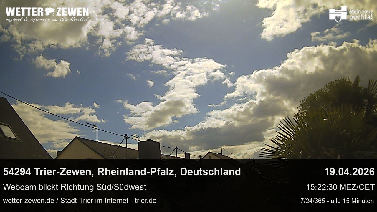 Bild