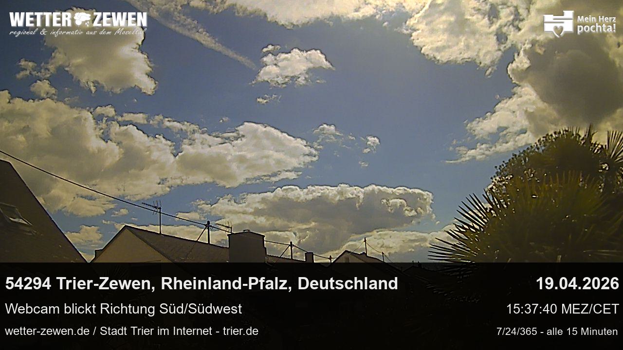 Bild