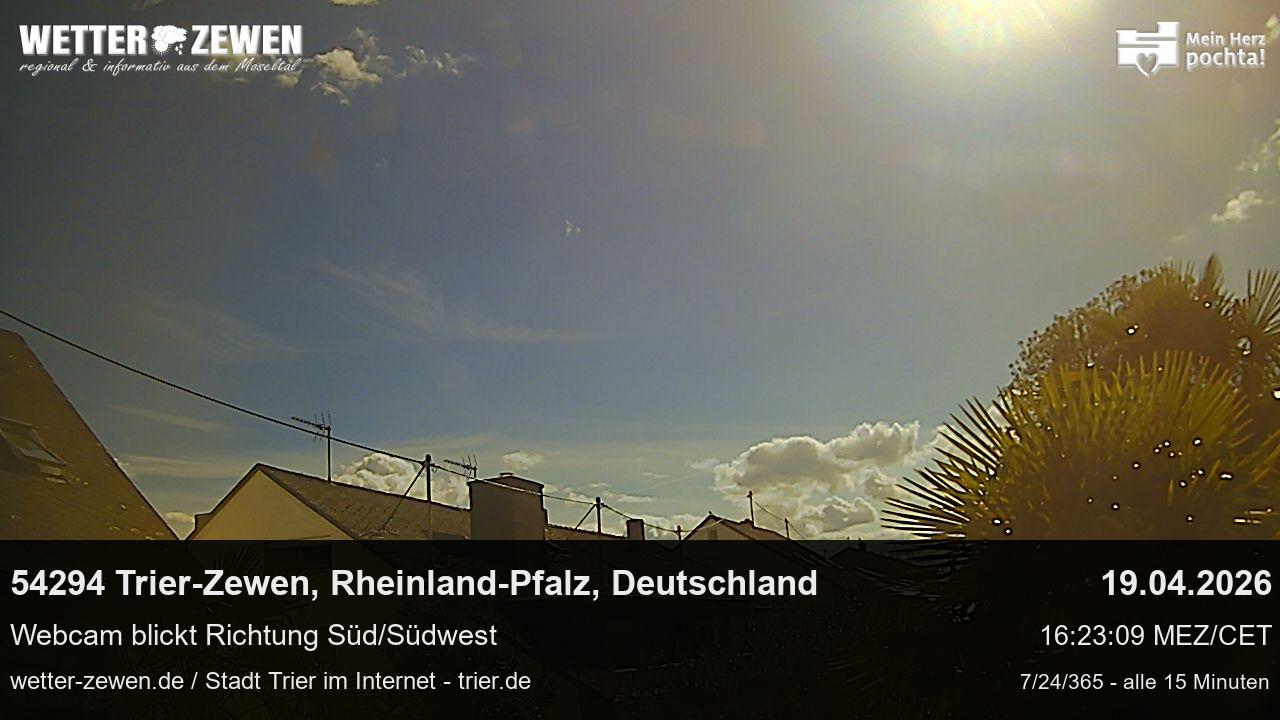 Bild