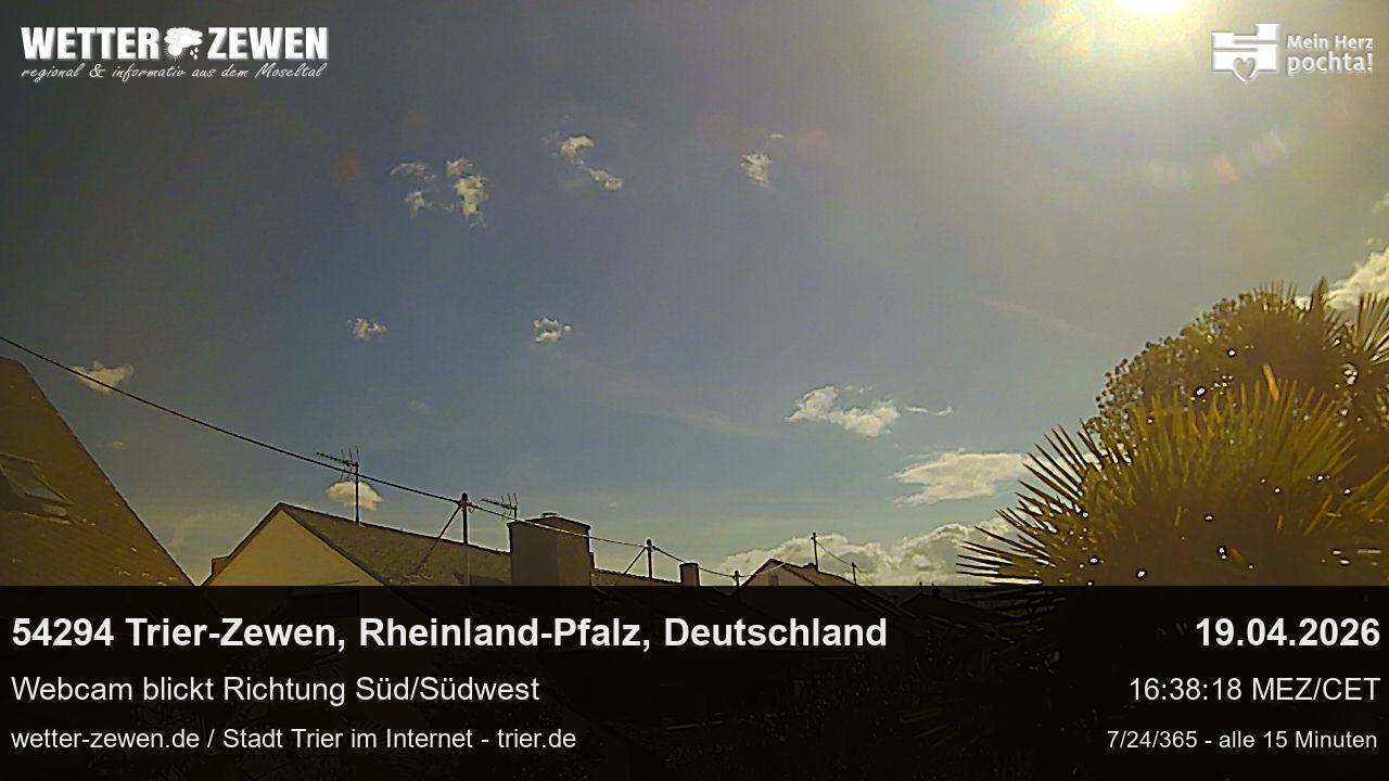Bild
