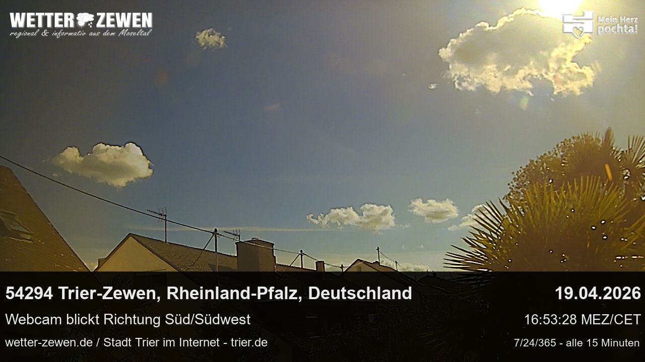 Bild
