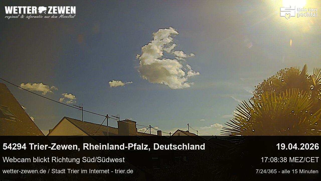 Bild