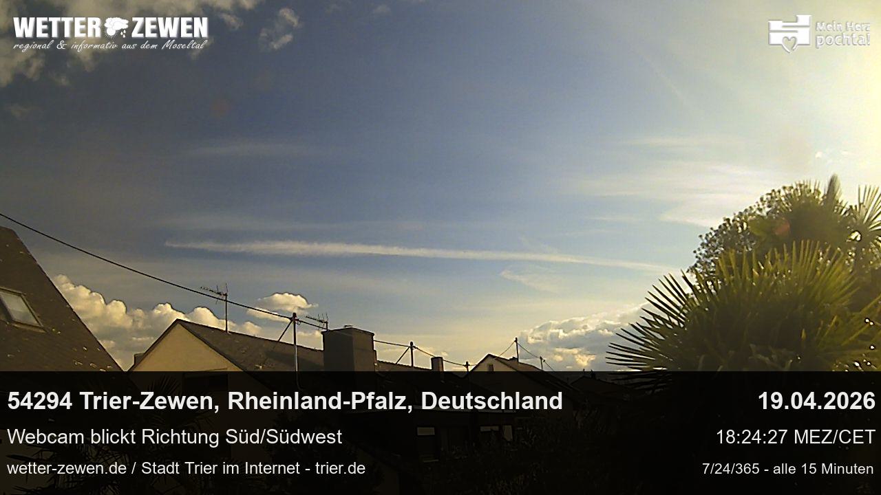 Bild
