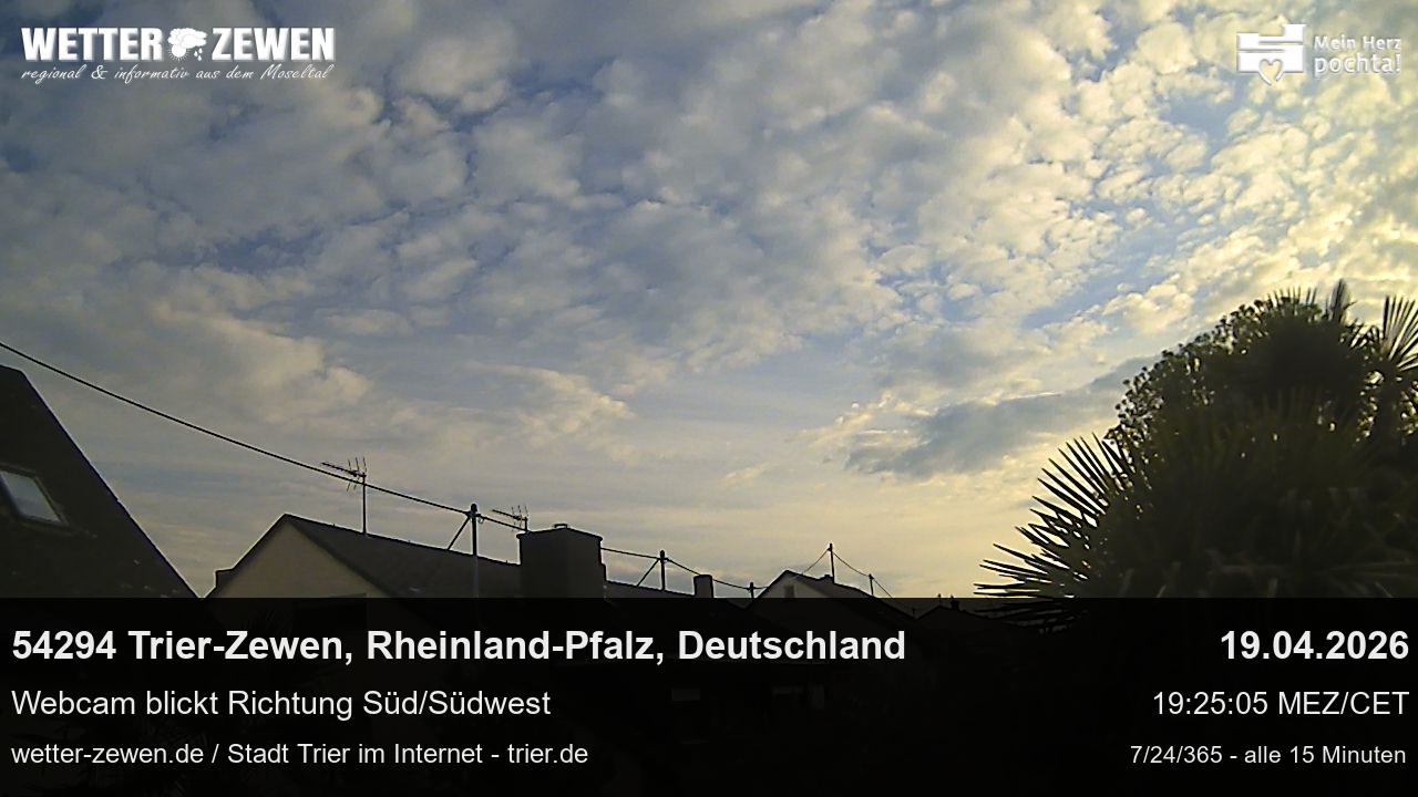 Bild