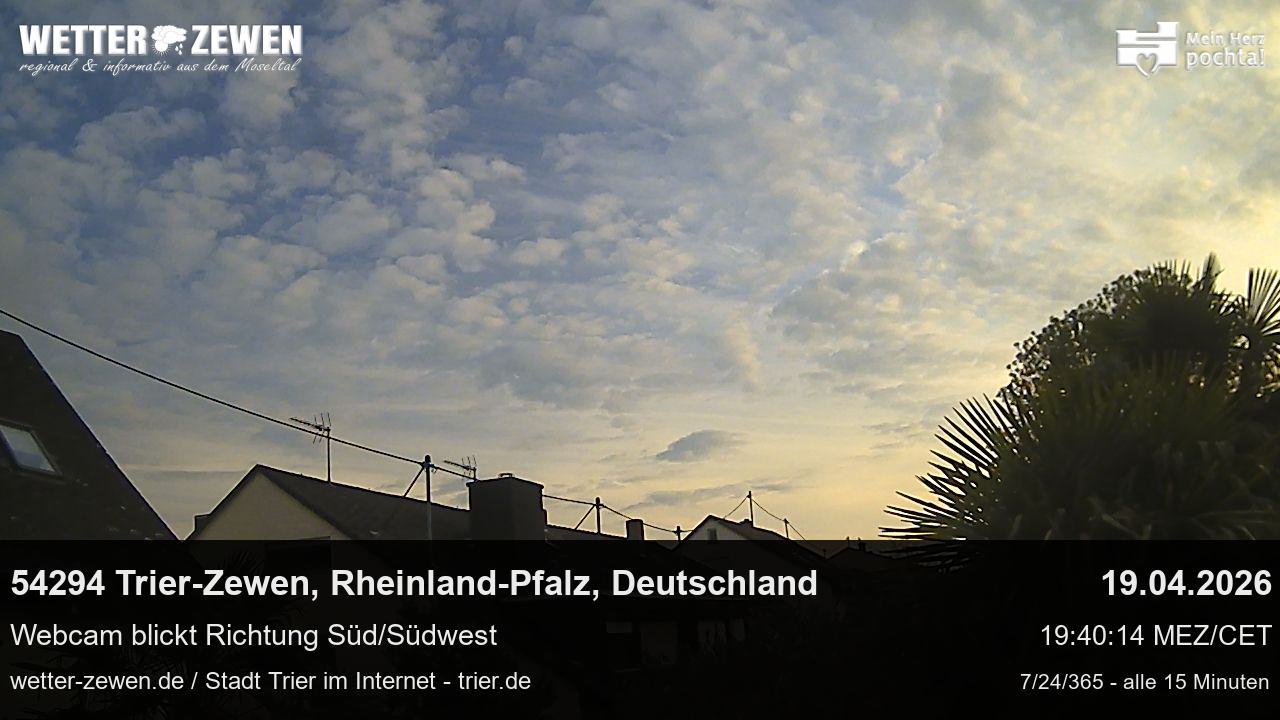 Bild